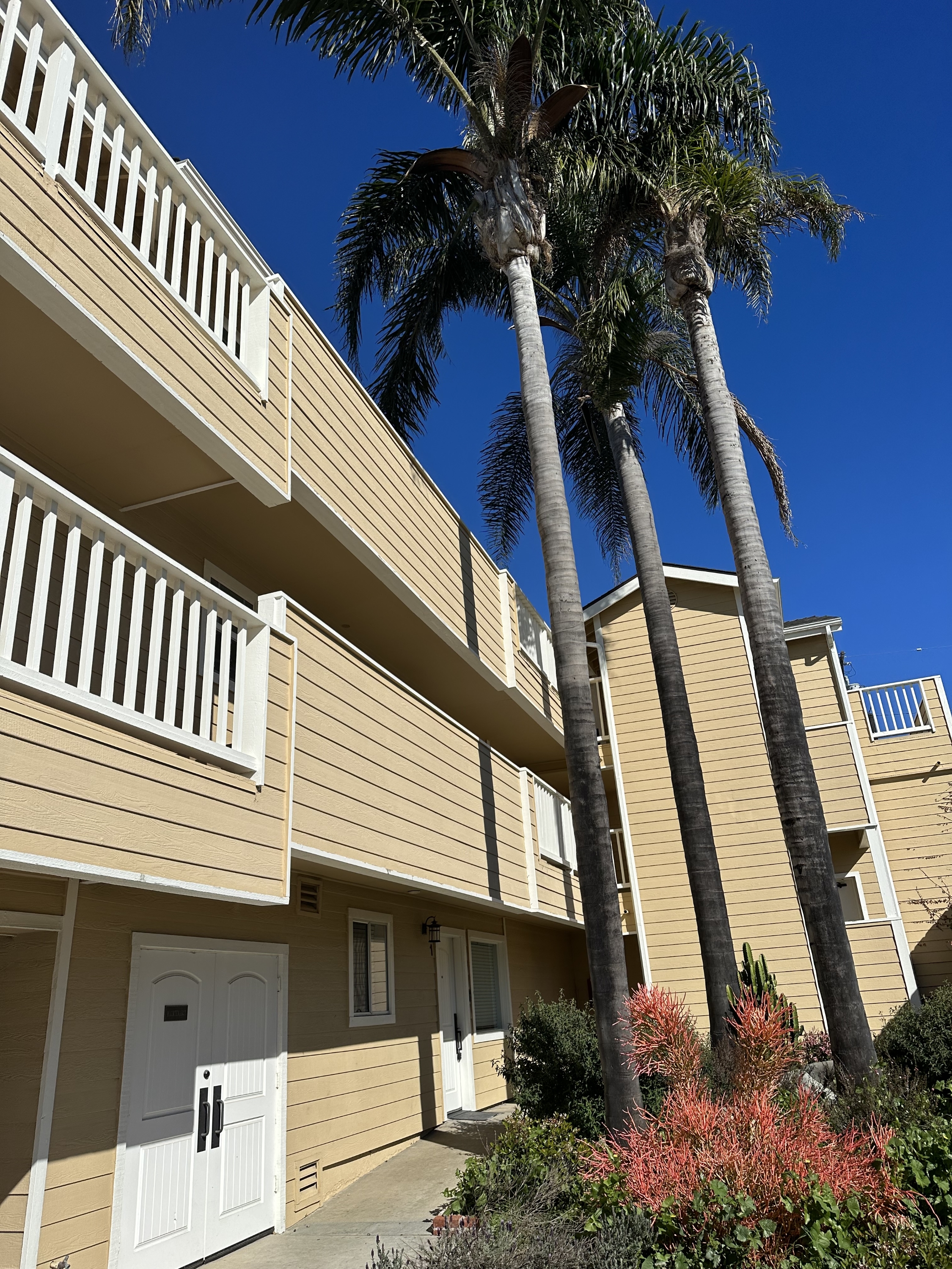 1267 Meta Street - 4